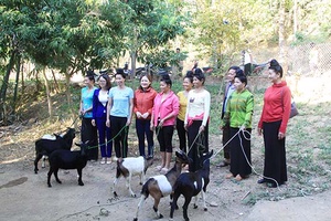 Mường La: Trao dê giống cho 5 hội viên phụ nữ nghèo