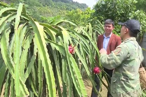 Hội Nông dân Thành phố: Hỗ trợ hội viên, nông dân phát triển kinh tế