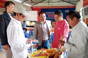 Trung tâm Khuyến nông tỉnh: Hội thảo đầu bờ mô hình thâm canh giống ngô lai đơn MK399 trên đất dốc có che phủ tại xã Mường Cơi