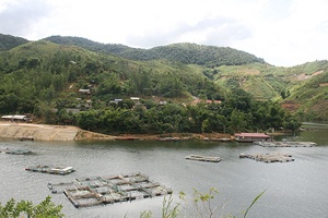 Toàn tỉnh: Diện tích, sản lượng nuôi cá tăng so với cùng kỳ năm 2018