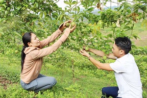 Đồng hành cùng nông dân phát triển sản xuất