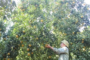 Bước chuyển tích cực trong phát triển nông, lâm, thủy sản