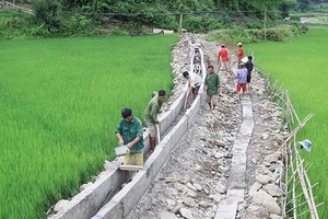 Toàn tỉnh: Hơn 12,6 tỷ đồng duy tu, sửa chữa các công trình thủy lợi