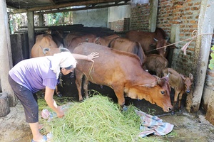 Xây dựng nông thôn mới ở Huy Tường