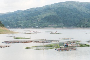 Toàn tỉnh: Sản lượng thủy sản đạt 7.245 tấn