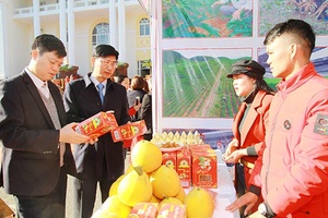 OCOP - tạo thương hiệu sản phẩm cho từng vùng