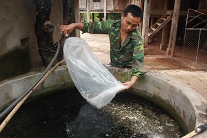 Đồng hành cùng thanh niên lập thân, lập nghiệp