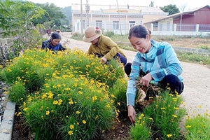 Hội LHPN xã Chiềng Mung hỗ trợ hội viên thoát nghèo