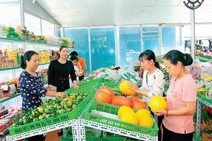 Nhịp sống dưới chân núi Pu Nhi
