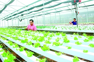 Khởi sắc nông nghiệp Yên Châu