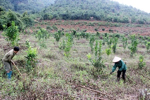 Điểm tựa giúp nông dân phát triển kinh tế