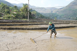 Ngày mới ở bản Pe