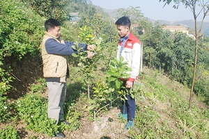 Kim Bon nỗ lực thoát nghèo