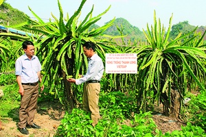 Nà Bó phấn đấu hoàn thành các tiêu chí xây dựng nông thôn mới