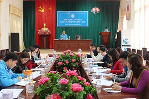 Hội nghị Ủy ban Hội LHTN Việt Nam tỉnh lần thứ II, khóa V, nhiệm kỳ 2019-2024
