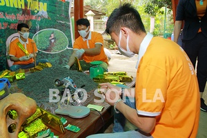 Đậm đà hương vị chè Trọng Nguyên