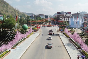 Thành phố trang hoàng đón Tết Nguyên Đán 2020