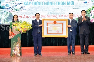 Thành phố bên dòng Nặm La