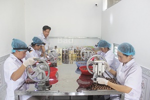 Công ty TNHH MTV Đạt Thủy: Hướng đi mới trong sản xuất và kinh doanh mắc ca