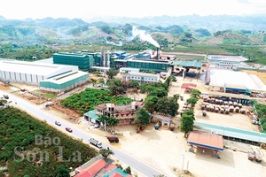 Sức xuân vùng động lực kinh tế