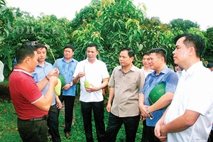 Khởi sắc nông nghiệp Sơn La