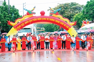 Nhãn Sông Mã vươn ra thế giới