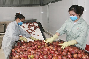 Toàn tỉnh: Thu hút 15 dự án đầu tư các lĩnh vực