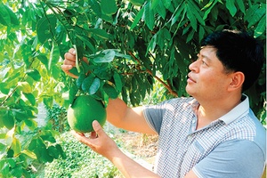 Ngày xuân gặp các nhà khoa học, trí thức tiêu biểu