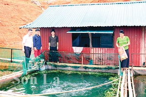 Mang xuân ấm đến cho người nghèo