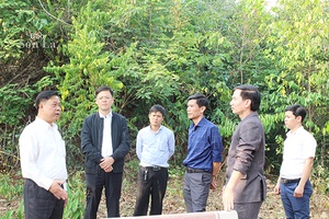 Đồng chí Phó Chủ tịch UBND tỉnh khảo sát các điểm du lịch lòng hồ thủy điện tại huyện Quỳnh Nhai