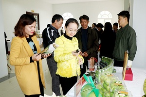 Tạo niềm tin từ chuỗi nông sản an toàn