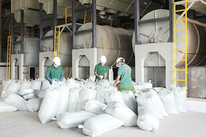 Nâng tầm thương hiệu cà phê Sơn La