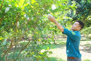 Nông dân xã Tông Lạnh thi đua phát triển kinh tế