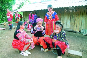 Tha thiết tiếng đàn môi