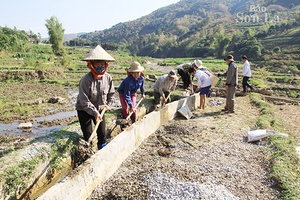 Mường La chủ động nguồn nước gieo cấy lúa xuân