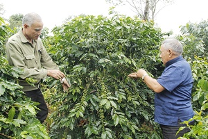 Chiềng Bôm nỗ lực giảm nghèo