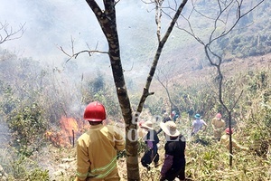 Cháy 2,5 ha rừng lau lách tại xã Vân Hồ