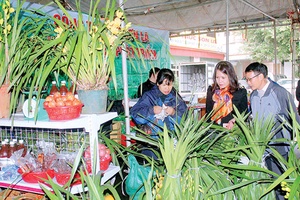 Khai mạc Tuần hàng nông sản thực phẩm an toàn Sơn La tại Hà Nội