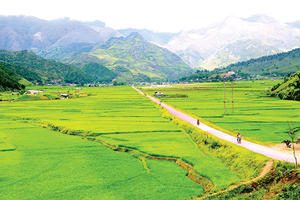 “Đà Lạt” vùng Tây Bắc