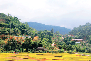 Nậm Lầu ngày mới