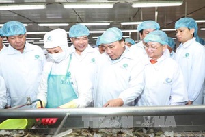 Thủ tướng thăm mô hình chế biến tôm xuất khẩu tại Tập đoàn Thủy sản Minh Phú, Cà Mau