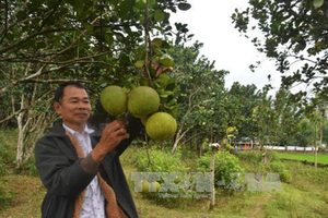 Du lịch xanh: Chìa “khoá” phát triển du lịch bền vững