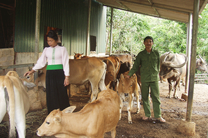 Chị Tan làm kinh tế giỏi