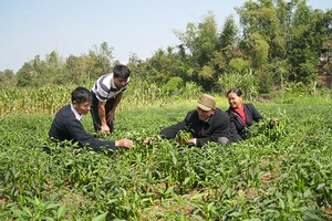 Tạo sự đồng thuận của thành viên để phát triển