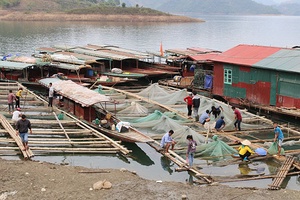 Khởi sắc nông nghiệp, nông thôn Quỳnh Nhai