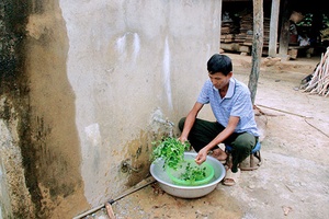 Mai Sơn quan tâm phát triển kinh tế các xã vùng đặc biệt khó khăn