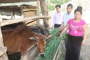 Chất lượng tín dụng là  thước đo hiệu quả vốn vay