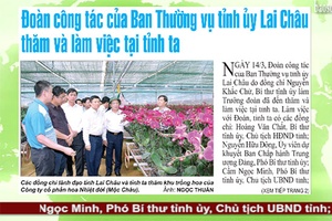 Điểm báo tuần 11