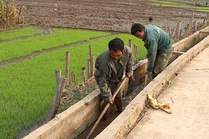 Mường Bú phát huy hiệu quả các công trình thủy lợi