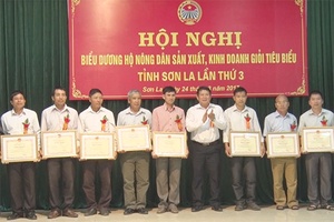 Hội nghị biểu dương hộ nông dân sản xuất, kinh doanh giỏi tiêu biểu toàn tỉnh lần thứ 3